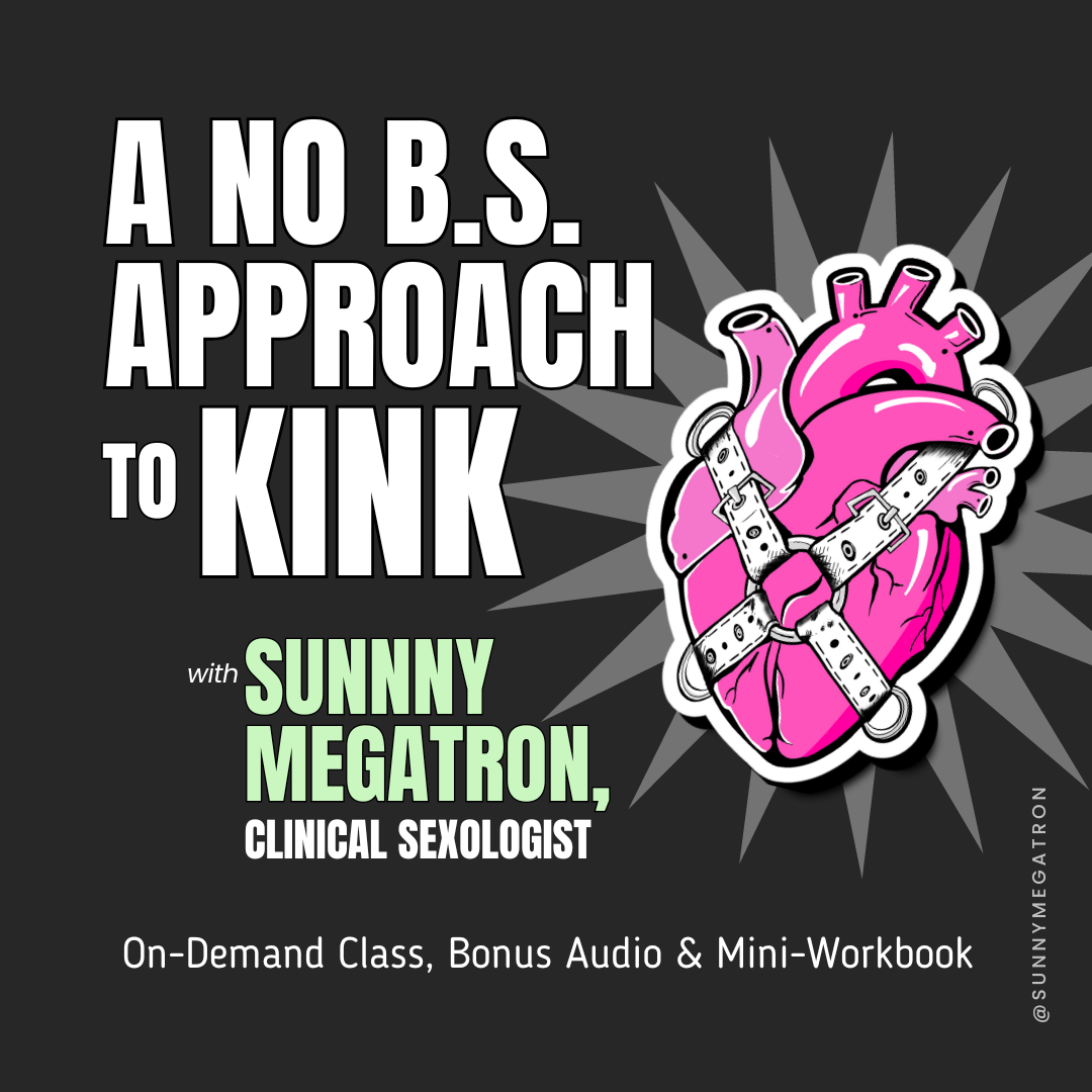 No BS KINK - Class Graphic Sunny Megatron